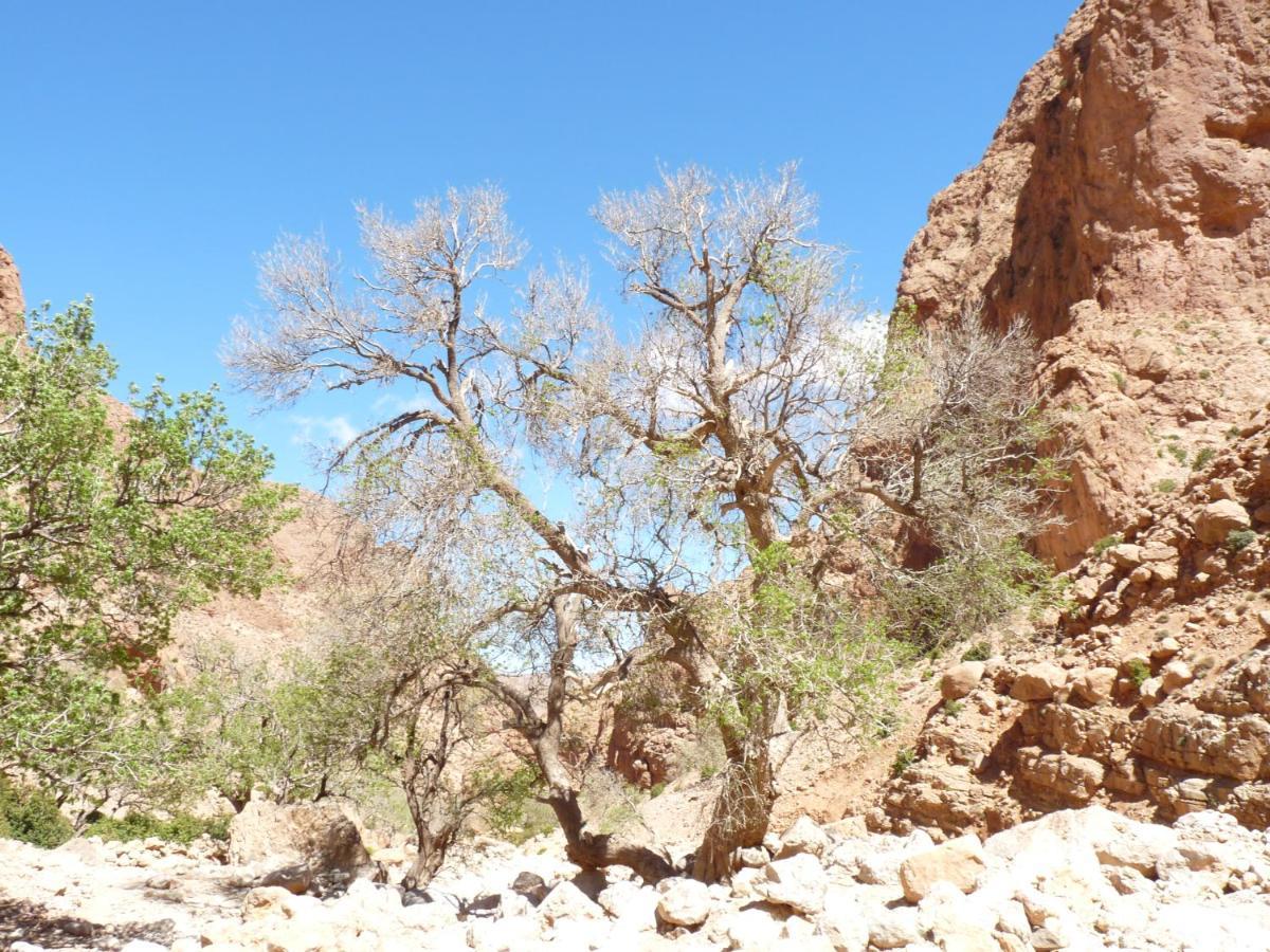 ホテル Les Jardins De Todgha Gorges De Todra Tinghir Aït Baha エクステリア 写真